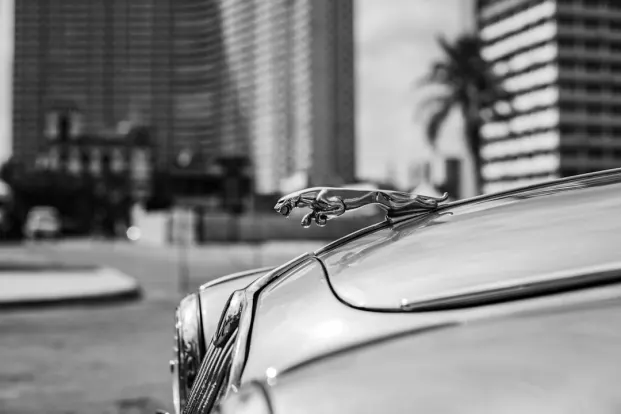 PocketWin Kasino Apl Android/iOS