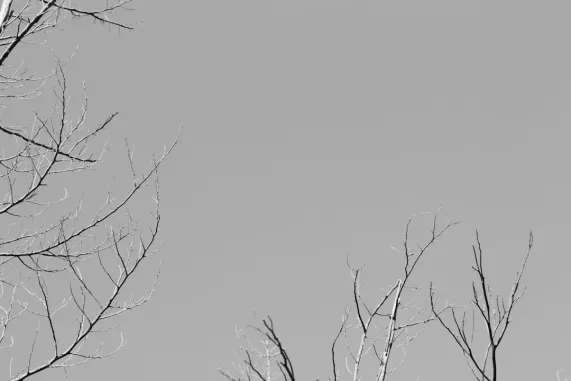 PocketWin Kasino Sokongan